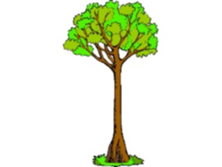 Sticker Custom Preview Image #133099 Trees Leaves Trees Tree191