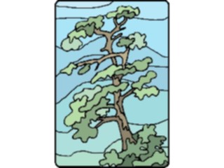 Sticker Custom Preview Image #133105 Trees Leaves Trees Tree197