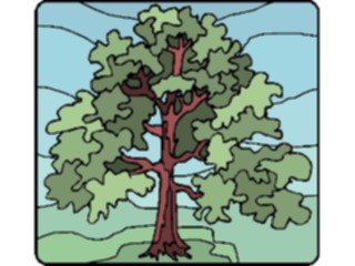 Sticker Custom Preview Image #133114 Trees Leaves Trees Tree206