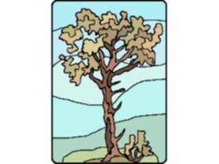 Sticker Custom Preview Image #133115 Trees Leaves Trees Tree207