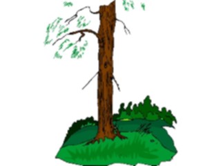 Sticker Custom Preview Image #133122 Trees Leaves Trees Tree214