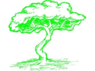 Sticker Custom Preview Image #133129 Trees Leaves Trees Tree221