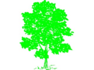 Sticker Custom Preview Image #133130 Trees Leaves Trees Tree222