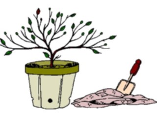 Sticker Custom Preview Image #133133 Trees Leaves Trees Tree225