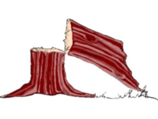 Sticker Custom Preview Image #133139 Trees Leaves Trees Tree Chopped