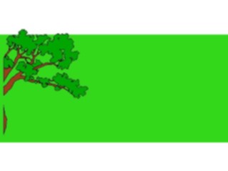 Sticker Custom Preview Image #133149 Trees Leaves Trees Tree Frame4