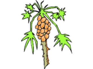 Sticker Custom Preview Image #133201 Trees Leaves Trees Tree Tropical1