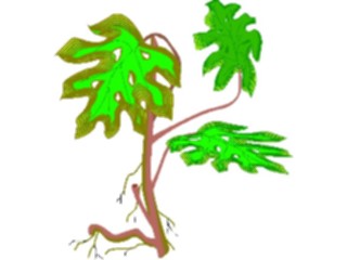 Sticker Custom Preview Image #133202 Trees Leaves Trees Tree Tropical2
