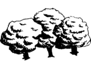 Sticker Custom Preview Image #133220 Trees Leaves Trees Trees09