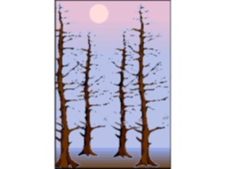 Sticker Custom Preview Image #133229 Trees Leaves Trees Trees18