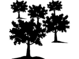 Sticker Custom Preview Image #133235 Trees Leaves Trees Trees24