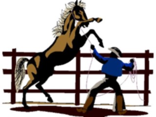Sticker Custom Preview Image #133548 Western Rodeo Cowboy Roping Horse2