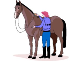 Sticker Custom Preview Image #133606 Western Rodeo Cowgirl05