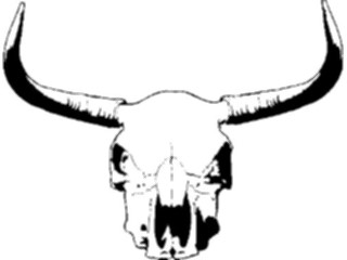 Sticker Custom Preview Image #133829 Western Rodeo Steer Skull01