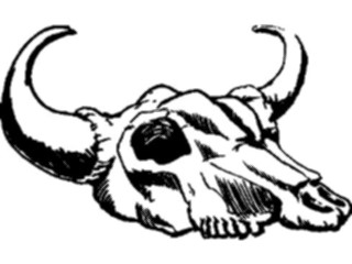 Sticker Custom Preview Image #133845 Western Rodeo Steer Skull17