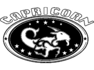 Sticker Custom Preview Image #133977 Zodiac Astrology Capricorn14