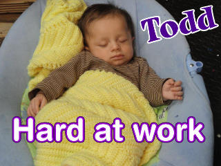 Cool Vinyl Graphic todd_hard_at work_fb.jpg