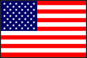American_USA Flag Decal Graphic