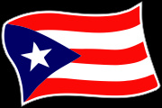 Boricua_WAVE Flag Decal Graphic