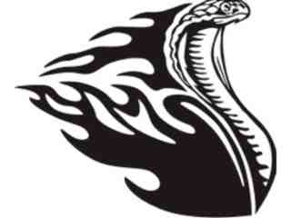  Animal Flames Cobra_ 0 8 8b_ A F 1 Decal Proportional