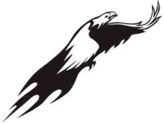  Animal Flames Eagle_ 0 2 8b_ A F 1 Decal Proportional