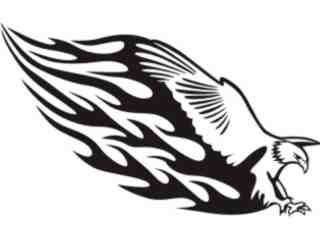  Animal Flames Eagle_ 0 2 9b_ A F 1 Decal Proportional