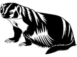  Badger_ 1 4 5_ V A 1 Decal Proportional