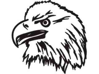  Bald Eagle 2_ M M 1 Decal Proportional