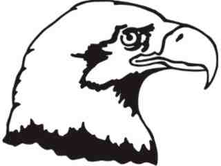  Bald Eagle_ M M 1 Decal Proportional