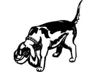  Beagle_ 1 3 8_ V A 1 Decal Proportional