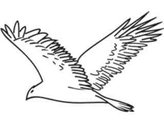  Birds Misc_ 1 8 2 Decal Proportional
