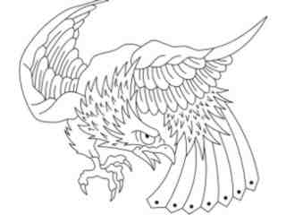  Birds Misc_ 1 9 9_ D T L Decal Proportional