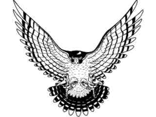  Birds_ Falcon T G_ P A 1_ D T L Decal Proportional