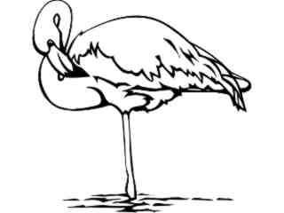  Birds_ Flamingo_ P A 1 Decal Proportional