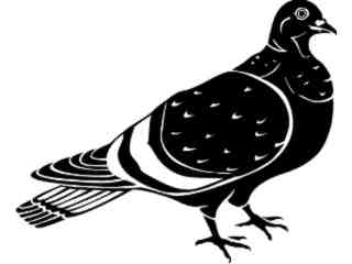  Birds_ Pigeon_ 1 2 9_ V A 1 Decal Proportional