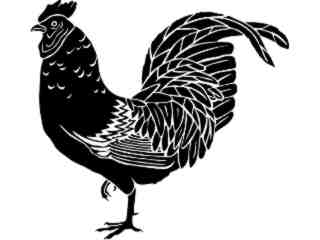  Birds_ Rooster_ 1 2 9_ V A 1 Decal Proportional