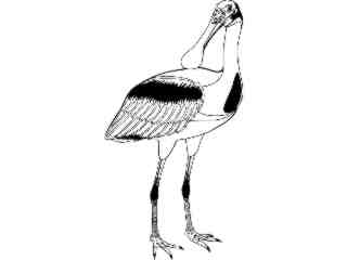  Birds_ Spoonbill T G_ P A 1_ D T L Decal Proportional