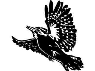  Birds_ Spotted Woodpecker_ P A 1 Decal Proportional