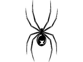  Black Widow Spider 1 Decal Proportional