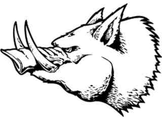  Boar Pig Hog_ 0 4 2_ V A 1 Decal Proportional