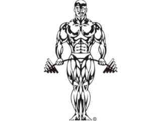  Body Builder 2 Decal Proportional