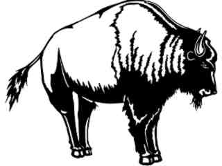  Buffalo_ 1 3 8_ V A 1 Decal Proportional