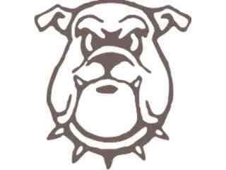  Bulldog Look Decal Proportional