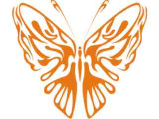 Butterflies Fantastic_ 0 1 3 Decal Proportional