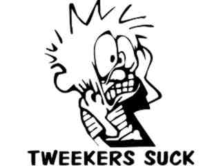  Calvin Tweaker Decal Proportional