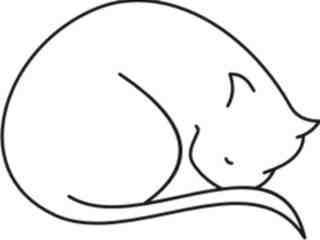  Cat Curl_ 1 3 7 Decal Proportional