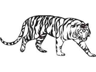  Cats Big Lions Tigers Panthers_ 0 5 5 Decal Proportional