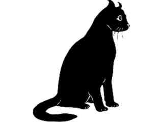  Cats_ American Curl_ 1 3 1_ V A 1 Decal Proportional