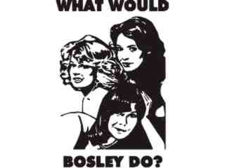  Charlies Angels Do Decal Proportional