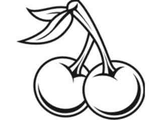  Cherry_ 4 5 3 1 Decal Proportional